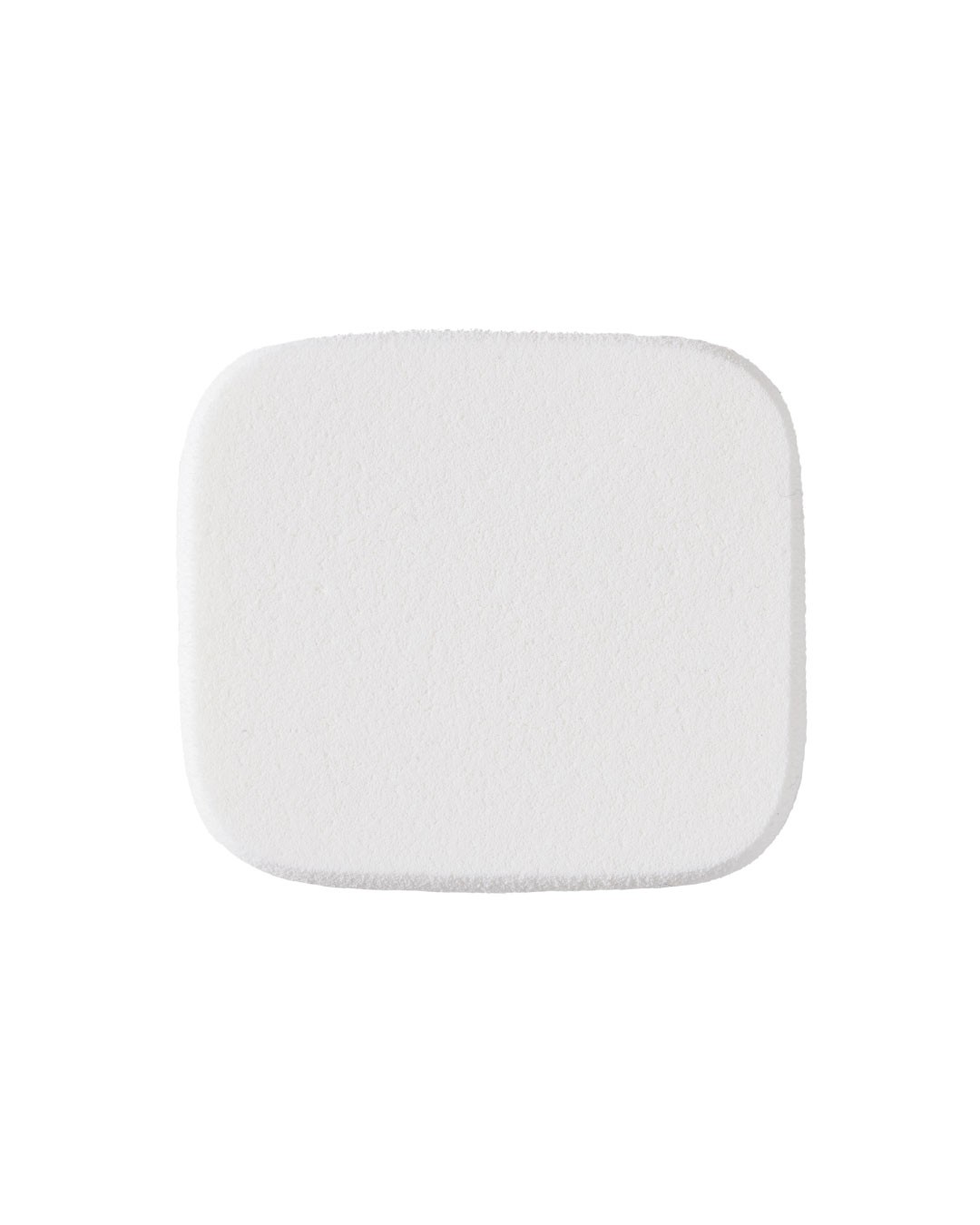 [250] Artist Finish Powder Foundation