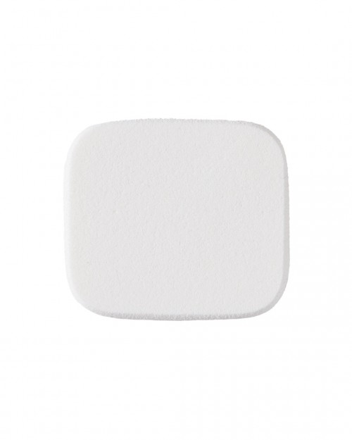 [250] Artist Finish Powder Foundation
